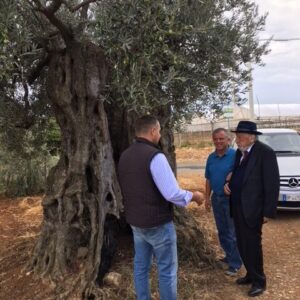 Senatore Domenico Pittella - Nova Siri Settembre 2017