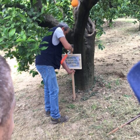 Senatore Domenico Pittella - Nova Siri Settembre 2017