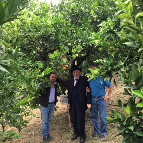 Senatore Domenico Pittella - Nova Siri Settembre 2017