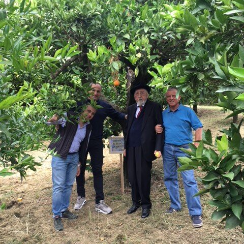 Senatore Domenico Pittella - Nova Siri Settembre 2017