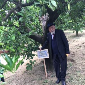 Senatore Domenico Pittella - Nova Siri Settembre 2017