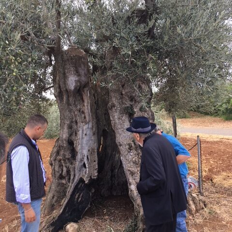 Senatore Domenico Pittella - Nova Siri Settembre 2017