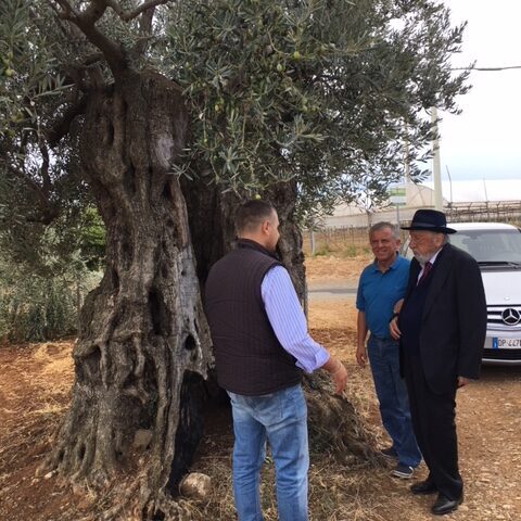 Senatore Domenico Pittella - Nova Siri Settembre 2017